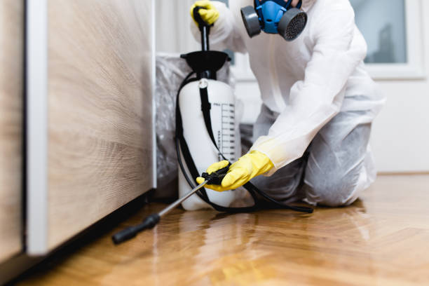 Best Termite Control Services  in Flagstaff, AZ