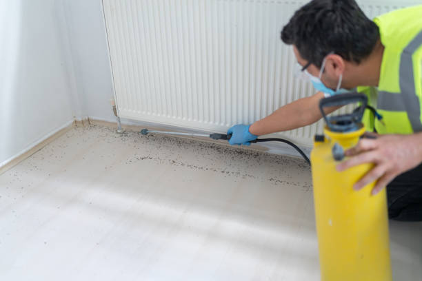 Best Pest Control Near Me  in Flagstaff, AZ